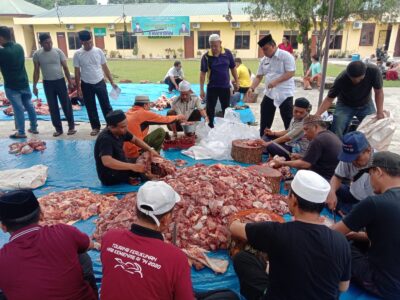 Kemenag Langkat Berkurban 11 Ekor Lembu